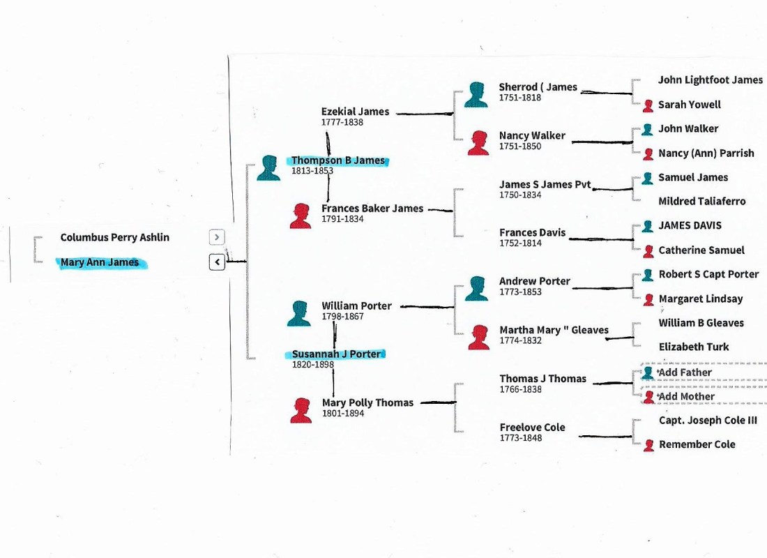James, Thompson & Susannah tree 001