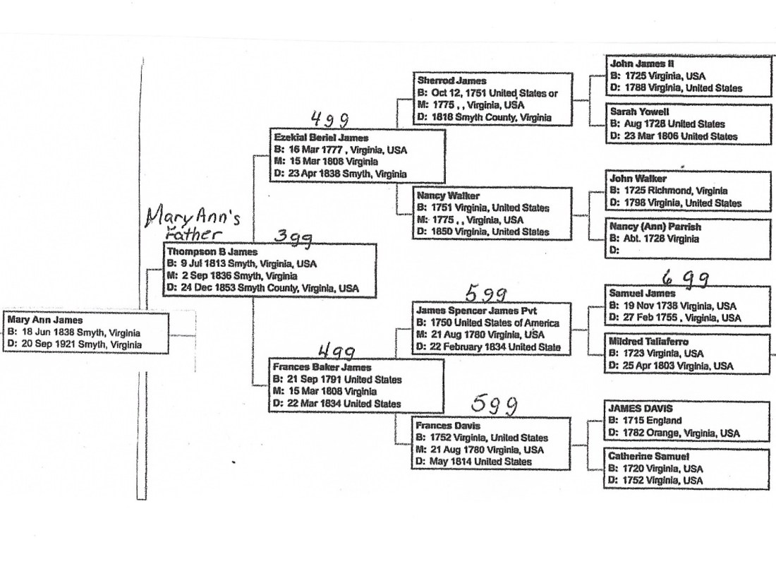Mary Ann's pedigree 001