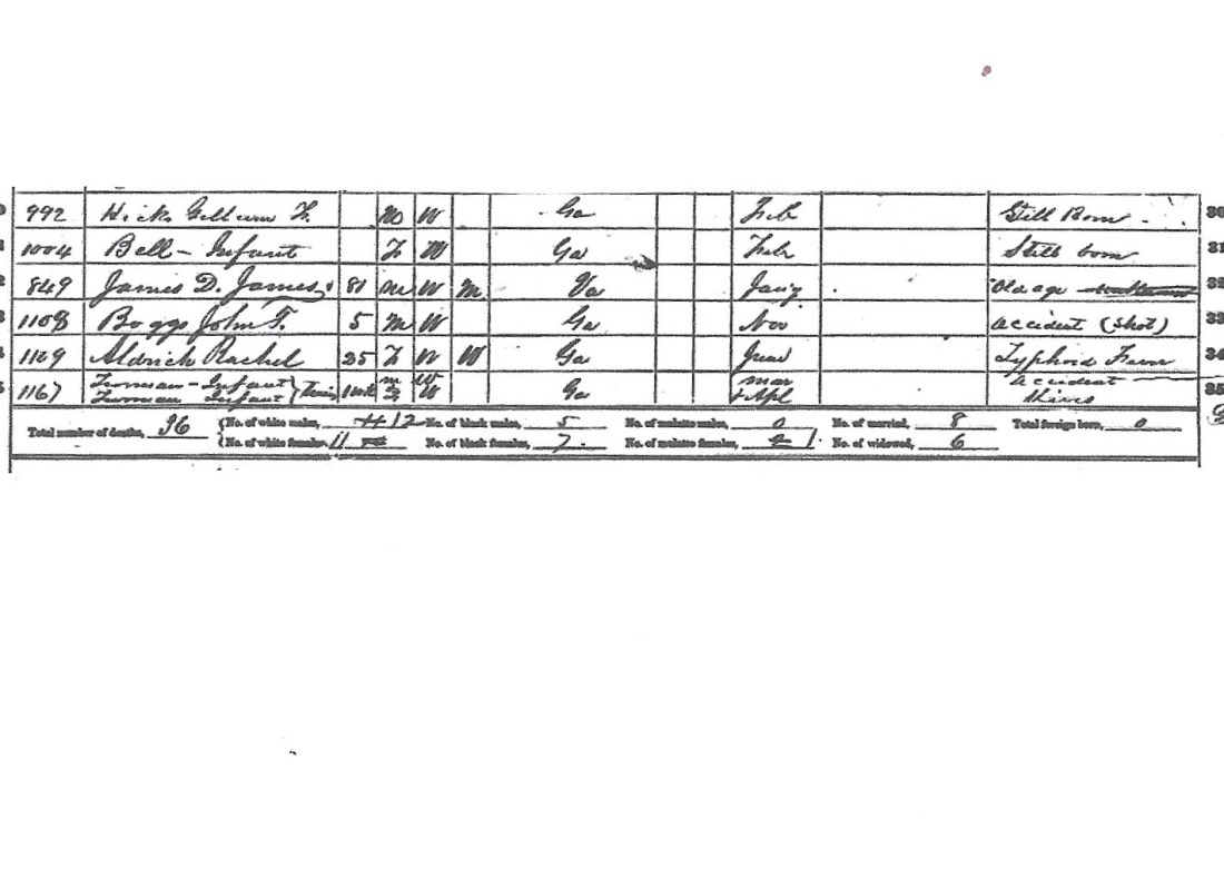 James, James D, Mortality Sched, 1870, Heard GA 001
